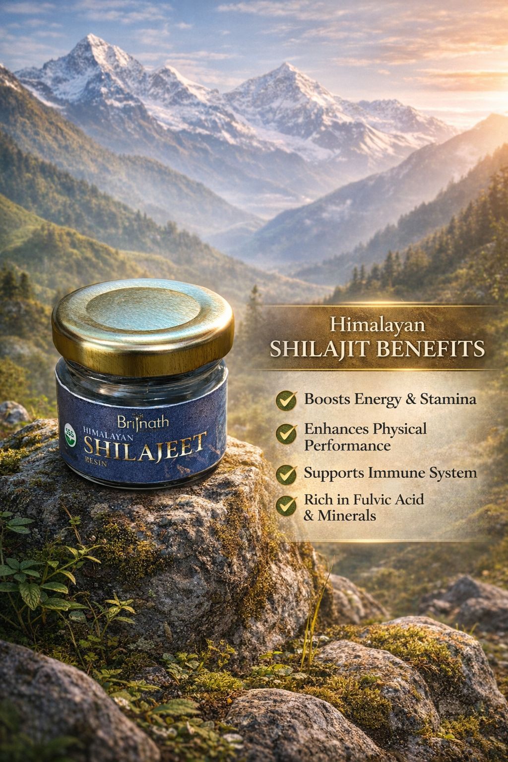 Brijnath Himalayan Shilajeet Resin